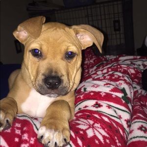 Meet your Posher, Katie